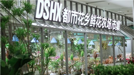 【都市花鄉】植耕長沙22年，讓人們的生活更加美好